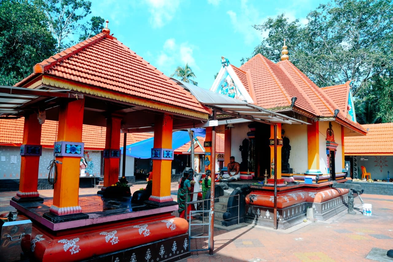 Temple Gallery 11