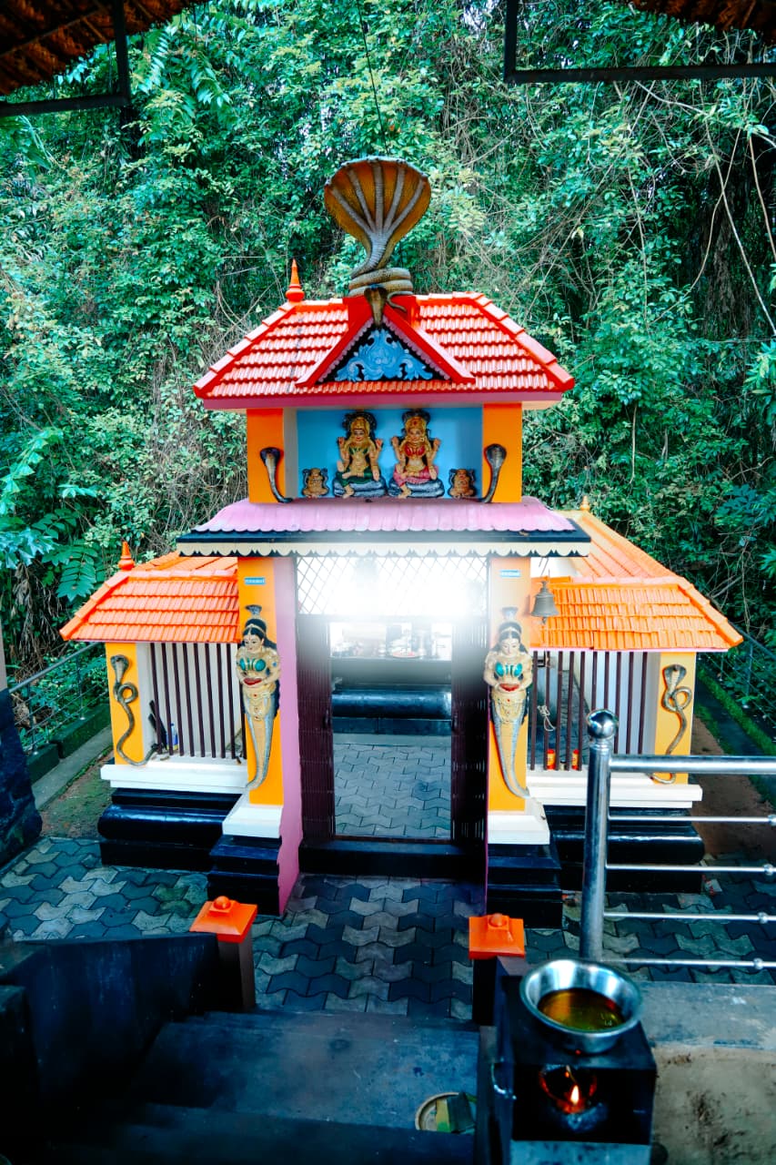 Temple Gallery 12